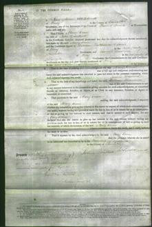 Court of Common Pleas - Mary Ann Grindrod-Original Ancestry