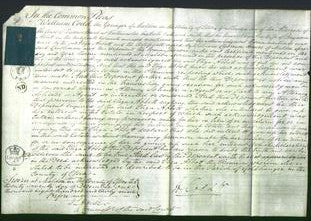 Court of Common Pleas - Eliza Abbott-Original Ancestry