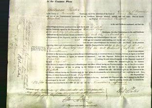 Court of Common Pleas - Elizabeth Randall-Original Ancestry