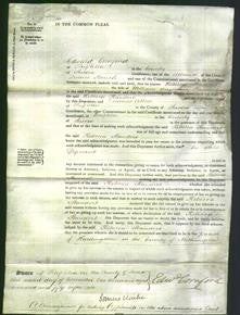 Court of Common Pleas - Rebecca Standert-Original Ancestry