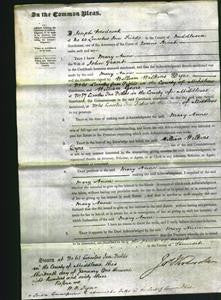 Court of Common Pleas - Mary Anne Grant-Original Ancestry