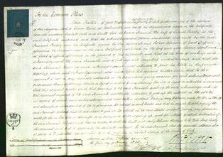 Court of Common Pleas - Hannah Pashby-Original Ancestry