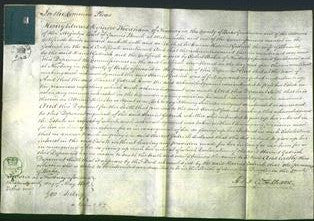 Court of Common Pleas - Harriet Godrich-Original Ancestry