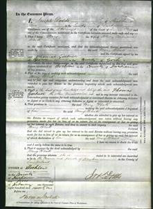 Court of Common Pleas - Mary Bleck-Original Ancestry