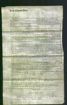 Court of Common Pleas - Susan Evans-Original Ancestry