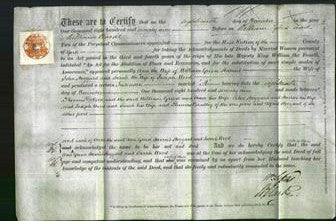 Deed by Married Women - Ann Green, Harriet Hoggard and Sarah Wood-Original Ancestry