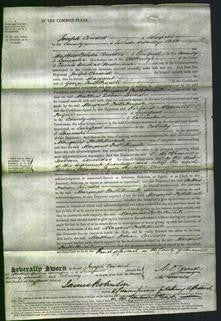 Court of Common Pleas - Margaret Postlethwaite-Original Ancestry