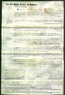 Court of Common Pleas - Matilda Chester-Original Ancestry