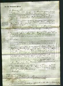 Court of Common Pleas - Elizabeth Mason, Mary Ann Pugh, Jane Thomas-Original Ancestry