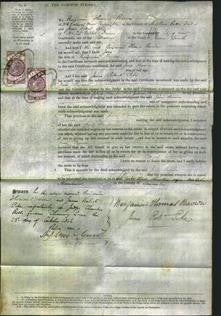 Court of Common Pleas - Jane Brown-Original Ancestry