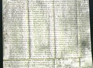 Court of Common Pleas - Ann Godden and Mary Ryder-Original Ancestry