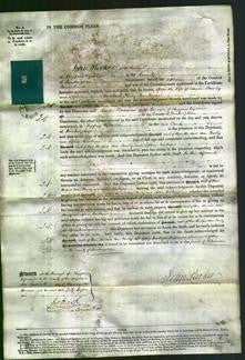 Court of Common Pleas - Ann Pawley, Sophia Montague-Original Ancestry