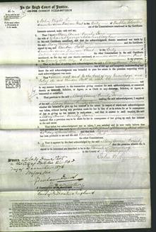 Court of Common Pleas - Mary Anne Emily Jane Mayhew-Original Ancestry