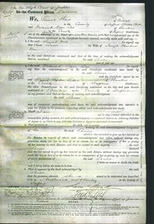 Court of Common Pleas - Louisa Wain-Original Ancestry