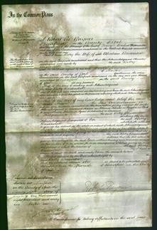 Court of Common Pleas - Betty Baxandall-Original Ancestry