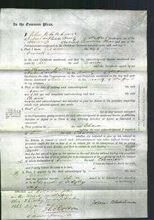 Court of Common Pleas - Eleanor Newall-Original Ancestry