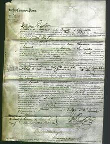 Court of Common Pleas - Sarah Graham-Original Ancestry