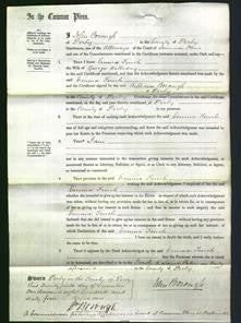 Court of Common Pleas - Emma Finch Halliday-Original Ancestry