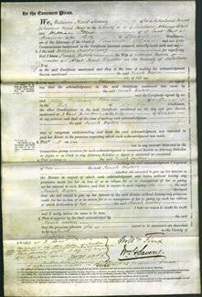 Court of Common Pleas - Sarah Weston-Original Ancestry