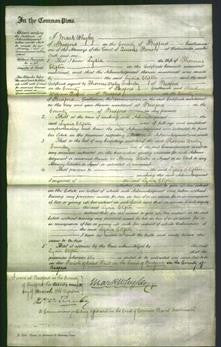 Court of Common Pleas - Lydia Clifton-Original Ancestry
