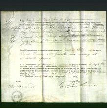 Appointment of Special Commissioners - George Wilson, Alpha Kingsley, Robert Woods, Francis Fogg, Thomas R Jennings and Samuel Watson-Original Ancestry
