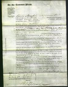 Court of Common Pleas - Philadelphia Anderson-Original Ancestry
