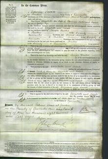 Court of Common Pleas - Elizabeth Baker and Sarah Pye-Original Ancestry