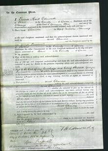 Court of Common Pleas - Eleanora Manning-Original Ancestry