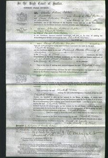 Court of Common Pleas - Elizabeth Dolder-Original Ancestry