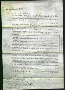 Court of Common Pleas - Sarah Richardson-Original Ancestry