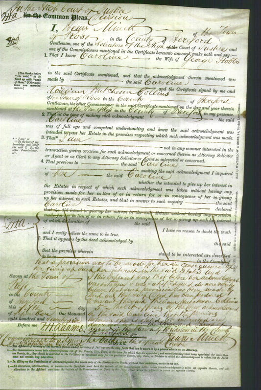 Court of Common Pleas - Caroline Hobbs