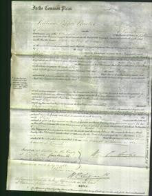 Court of Common Pleas - Eliza Slingsby-Original Ancestry