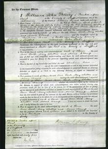 Court of Common Pleas - Ann Leech, Mary Whetton and Maria Clamp-Original Ancestry