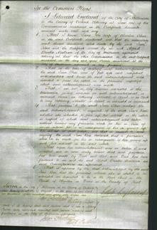 Court of Common Pleas - Jane Rose-Original Ancestry
