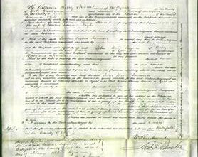 Court of Common Pleas - Emma Naylor-Original Ancestry