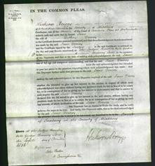 Court of Common Pleas - Jane Downs-Original Ancestry