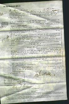 Court of Common Pleas - Sarah Johnson-Original Ancestry