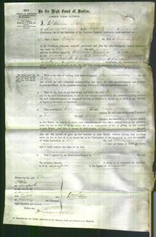 Court of Common Pleas - Eliza Winsfornley-Original Ancestry