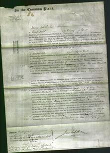Court of Common Pleas - Charlotte Mitchell, Mary Nettleton and Sarah Ann Foster-Original Ancestry