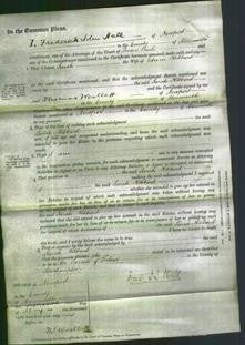 Court of Common Pleas - Sarah Hibbard-Original Ancestry