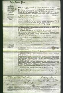 Court of Common Pleas - Eliza Lillyman and Ann Beck-Original Ancestry