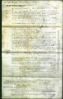 Court of Common Pleas - Sarah Fenesay-Original Ancestry