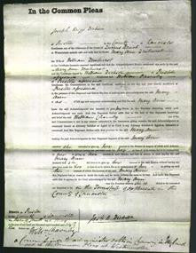 Court of Common Pleas - Mary Ann Dewhurst-Original Ancestry