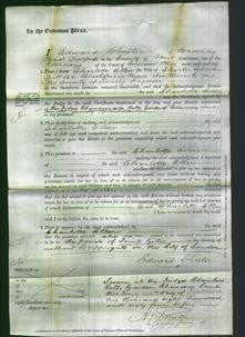 Court of Common Pleas - Charlotte Ellen Chester-Original Ancestry