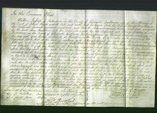 Court of Common Pleas - Ann Horniblow-Original Ancestry