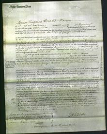 Court of Common Pleas - Charlotte Lovibond-Original Ancestry