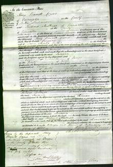 Court of Common Pleas - Susanna Cozens-Original Ancestry