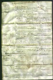 Court of Common Pleas - Jane Hannah Eman-Original Ancestry