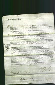 Court of Common Pleas - Sophia Robinson-Original Ancestry