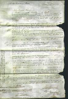 Court of Common Pleas - Mary Dawkins, Ann Crabtree-Original Ancestry